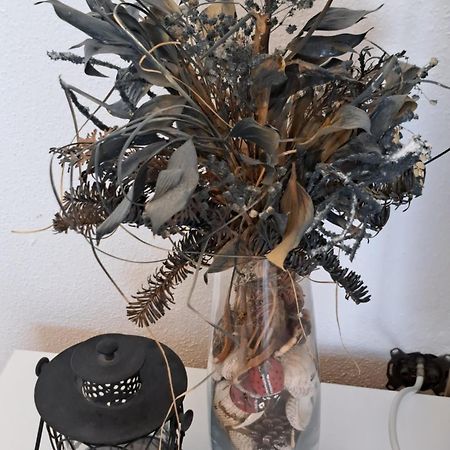 Tribalj Apartment Oaza Mira מראה חיצוני תמונה