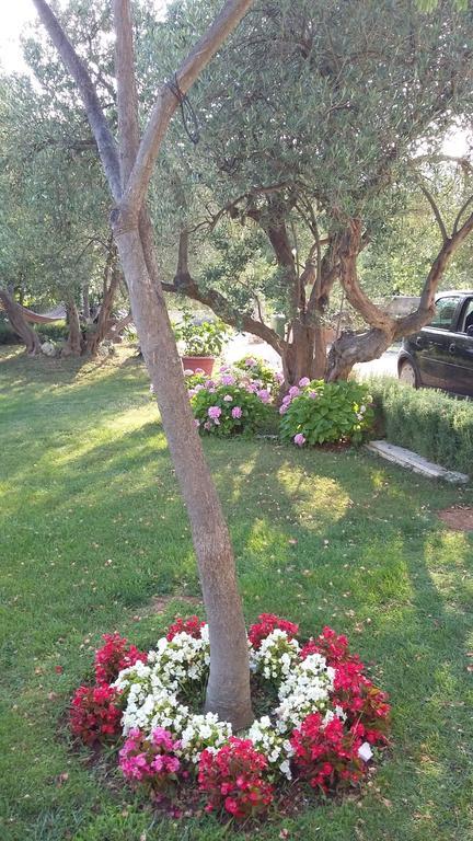 Tribalj Apartment Oaza Mira חדר תמונה