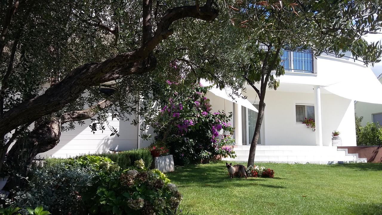 Tribalj Apartment Oaza Mira מראה חיצוני תמונה